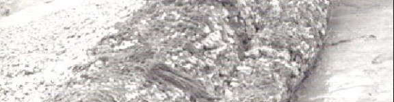 Torrente Malcompare- soglia rovesciata dalla piena del 5-7-1955